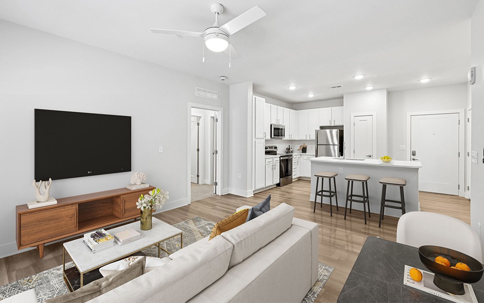 kitchen and living room with couch and tv